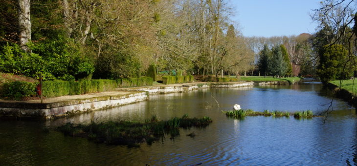 Balade dans le parc ce matin